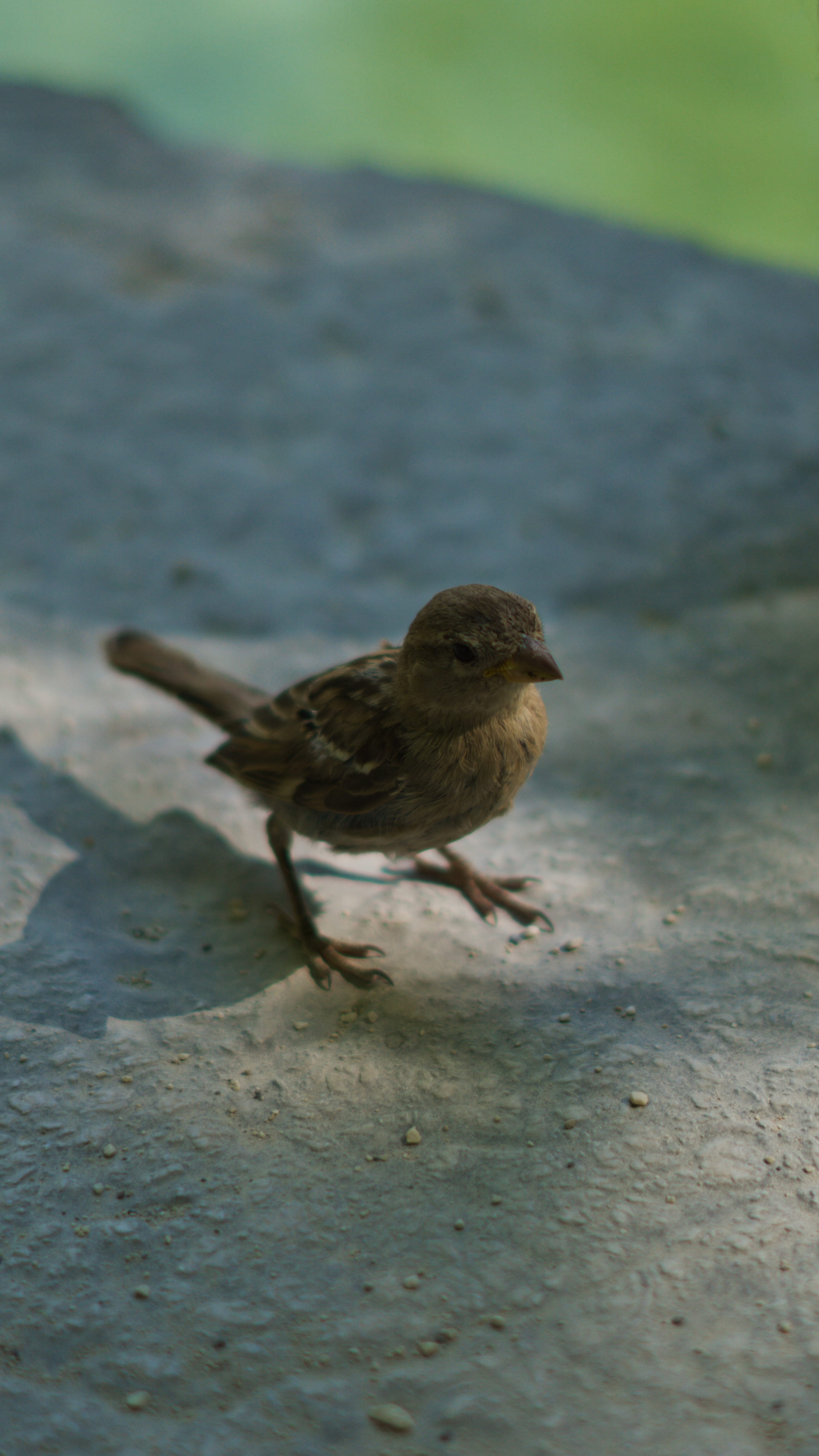 Photographie par Evan