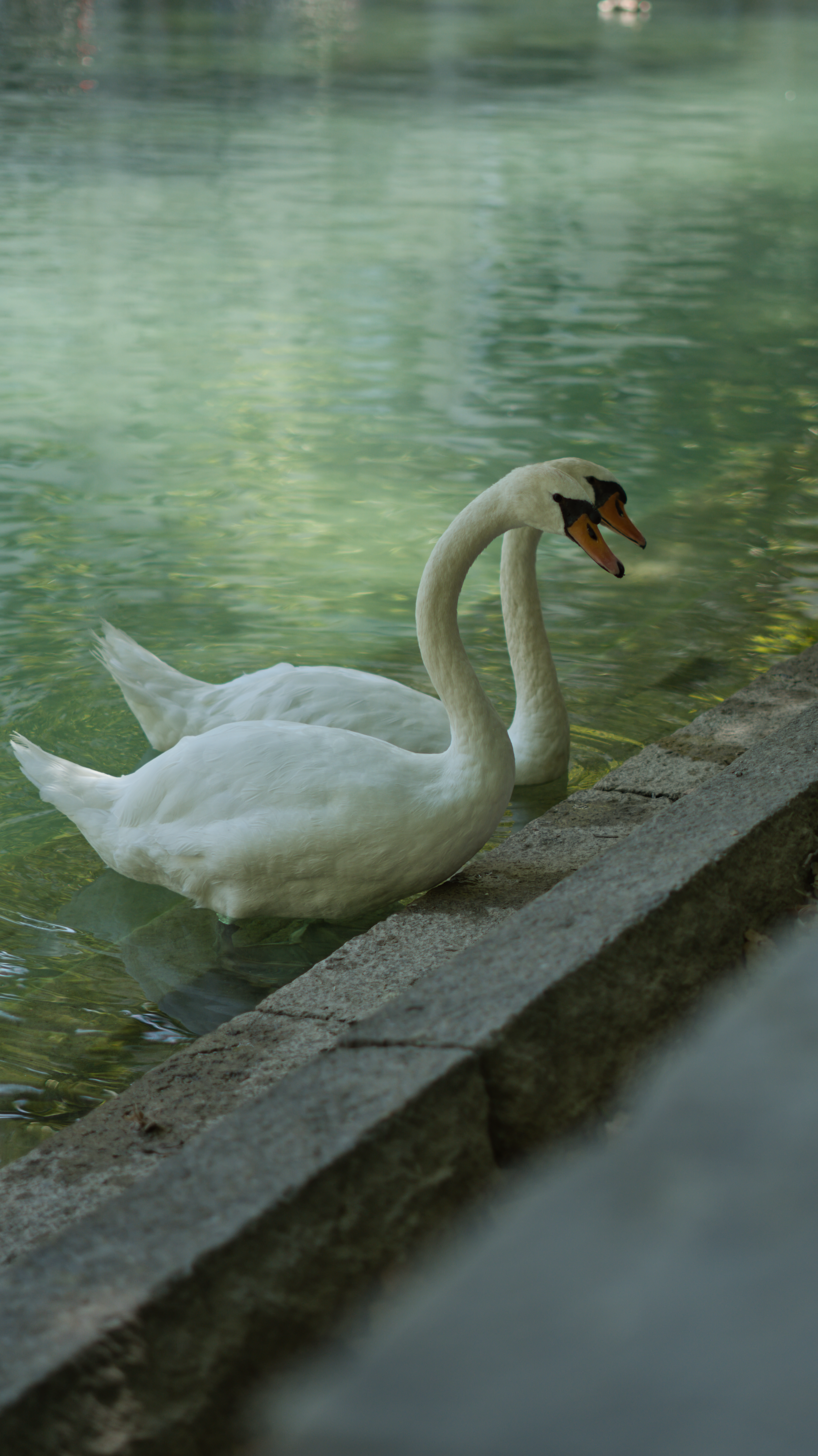 Photographie par Evan